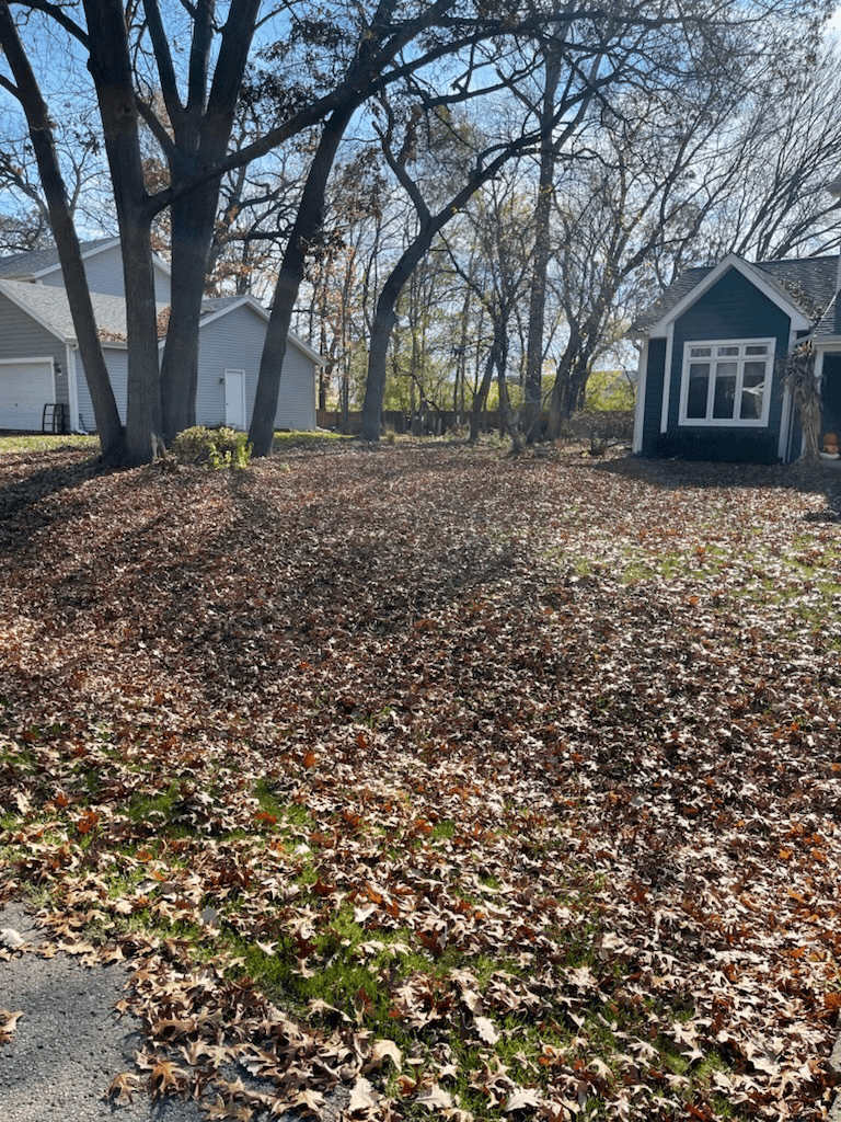 Gallery Image:MA Lawn Care LLC